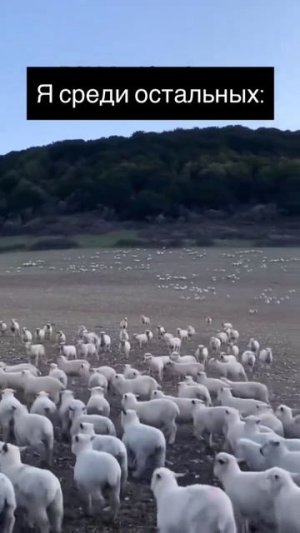 Смех до слëз 🤣🤣🤣