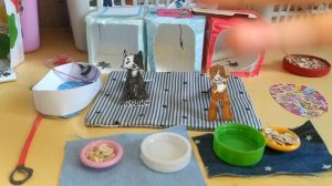 Новая собачка!!