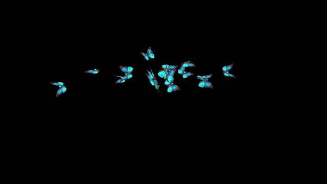 ФУТАЖ - БАБОЧКИ ЛЕТАЮТ смотреть онлайн