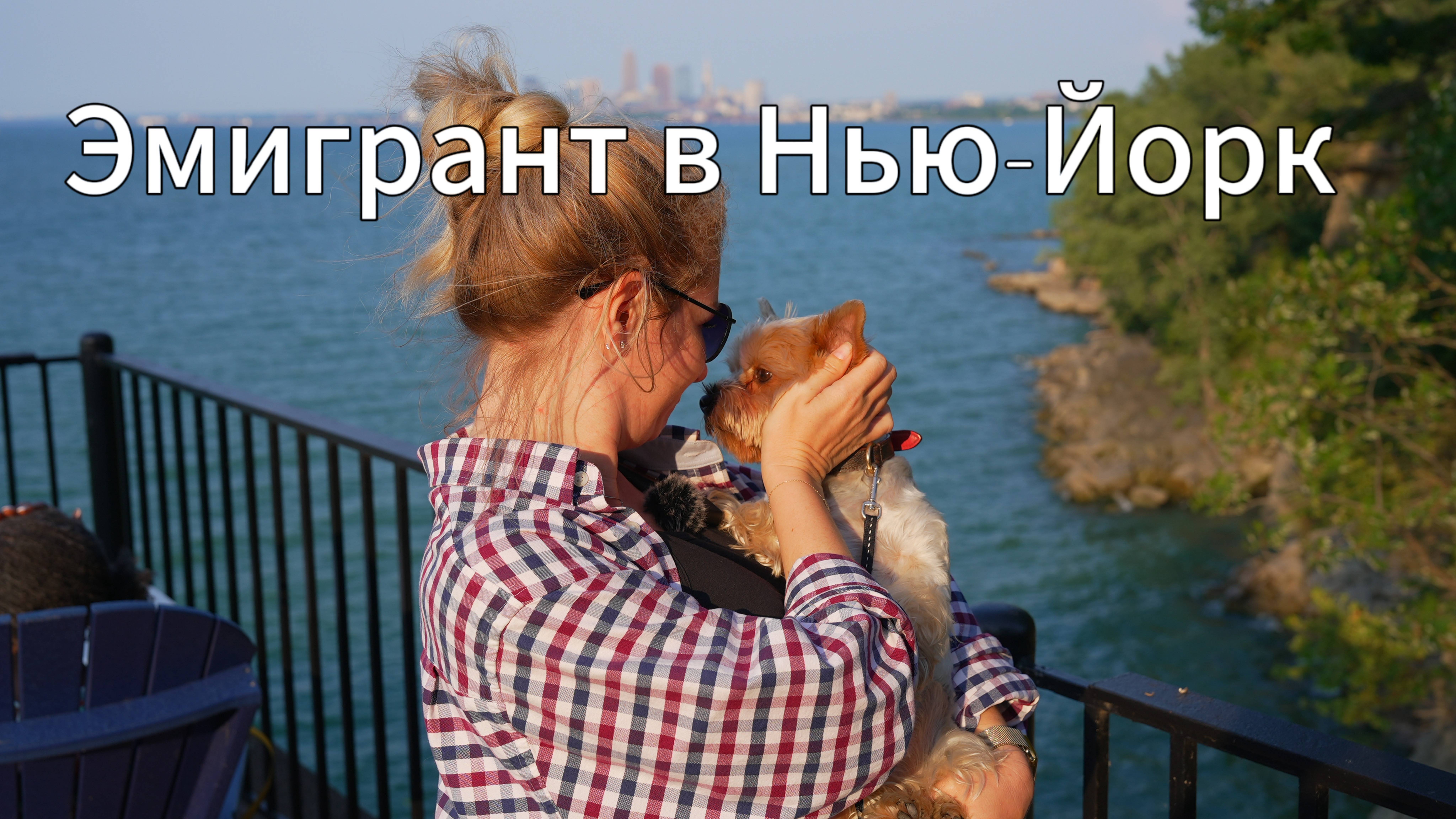 Йорк из Челябинска: как я ОПИСАЛ ПАЛЬМУ в НЬЮ-ЙОРКЕ 🇺🇸🐾 #сезонконтентаRuTUBE #америка / 1 серия смотреть онлайн