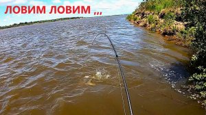 ЛОВИМ ЛОВИМ а рыбу не берём