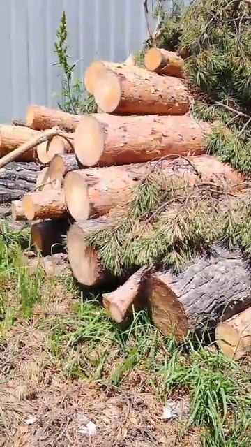 Куча тимбера смотреть онлайн