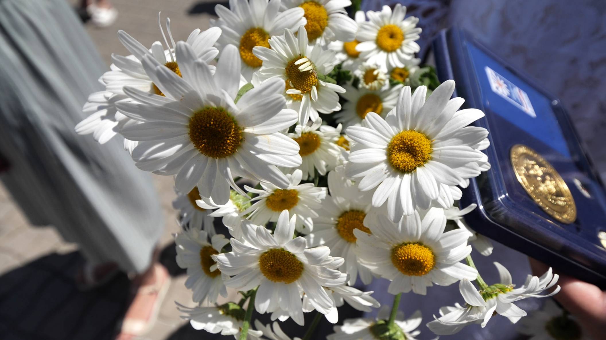 Фестиваль семьи смотреть онлайн