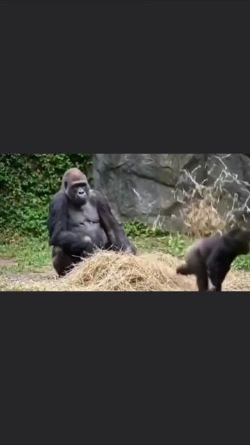 Понимаем смотреть онлайн