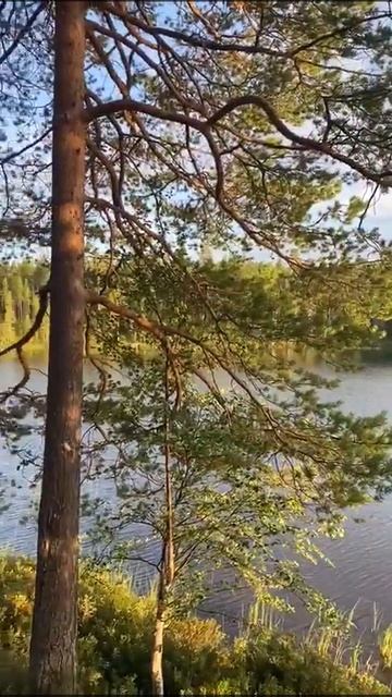 Закат смотреть онлайн