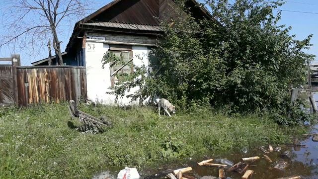 Тулун 2019-Дыхание(ANEYA-cover Наутилус Помпилиус)