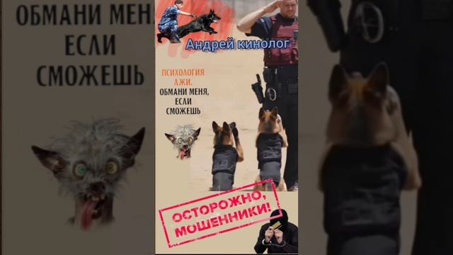 Сборник нечисти от Кинолога смотреть онлайн