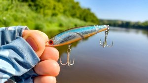 С ТАКОЙ рыбалкой И СУДАК НЕ НУЖЕН, ПОСМОТРИ ЧТО ОНИ ТВОРЯТ.   Спиннинг с НОЧЁВКОЙ в 2025