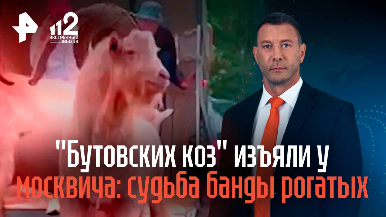 Коз изъяли у москвича. Cудьба банды рогатых смотреть онлайн