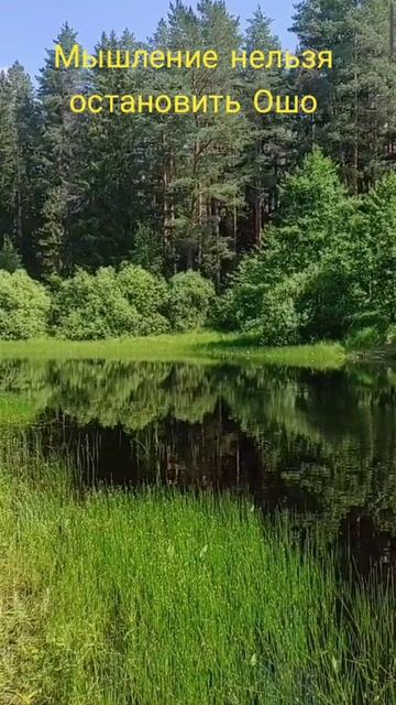(25) Мышление нельзя остановить Ошо смотреть онлайн