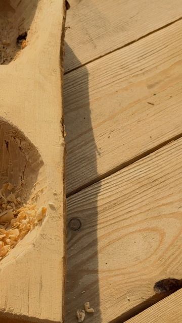 Миска для собаки ЛЧ смотреть онлайн