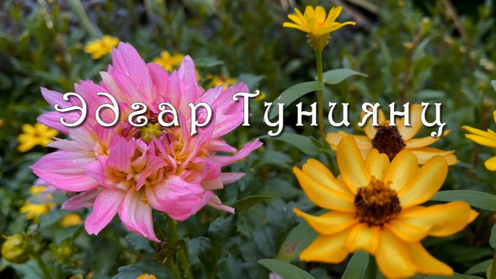 Эдгар Туниянц,  Скрипка и Рояль. Она плачет, а он утешает. Музыка души!