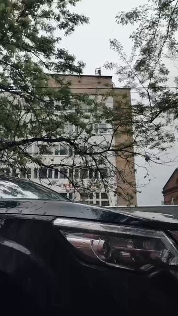 NISSAN TERRA смотреть онлайн