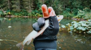 Учусь ловить хариуса