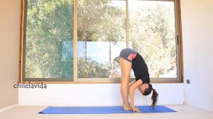 Виньяса йога на все тело 35 мин День 4. Йога |Елена Малова