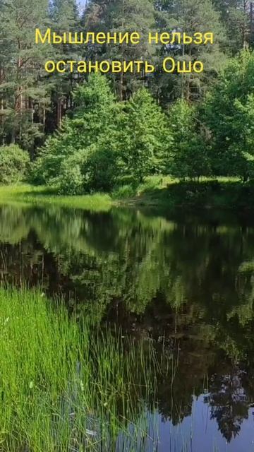 (27) Мышление нельзя остановить Ошо смотреть онлайн