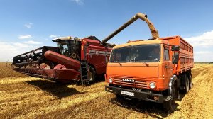 Уборка урожая 2025 набирает свои обороты! Даже сварщик пригодился!