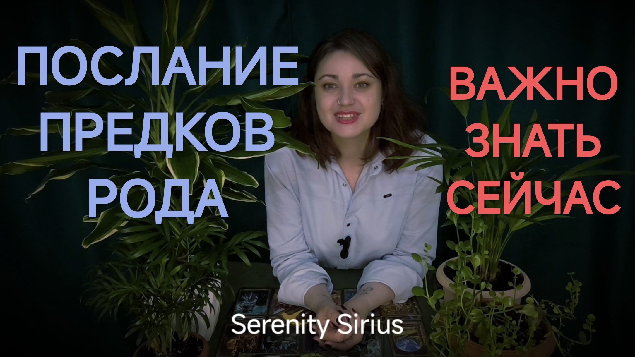 Послание Предков Рода🌳Важно знать сейчас⚡таро расклад смотреть онлайн