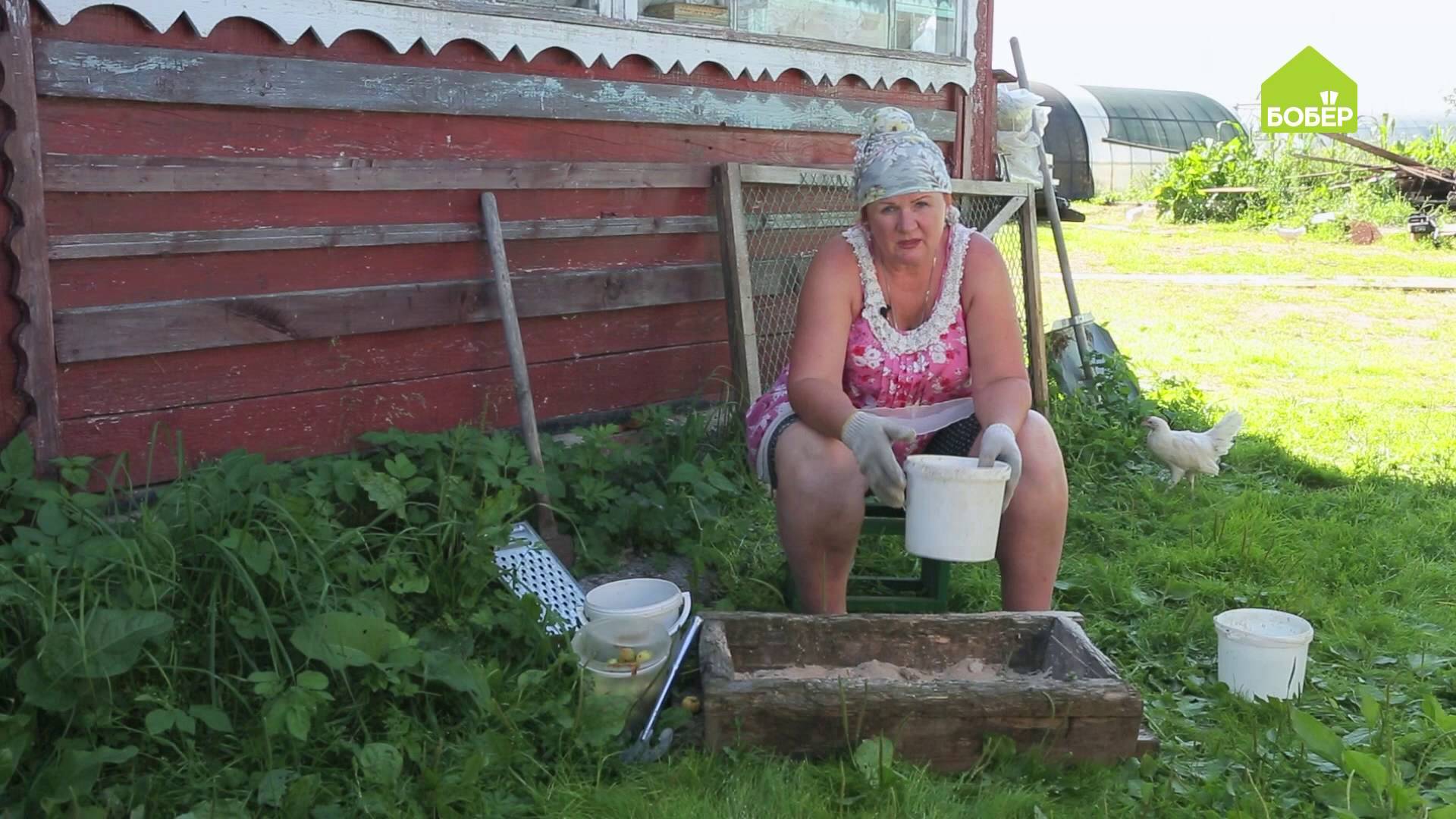 Летняя подкормка для домашних животных. Мешанка для цыплят и поросят. Витаминная смесь для животных смотреть онлайн