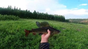 ДЕНЬ РЫБАКА! РЫБАЛКА ПО ТРОФЕЙНОМУ ХАРИУСУ. Часть первая.