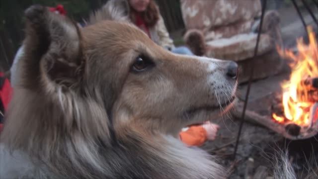 38 СГШ 2025 зарисовка3