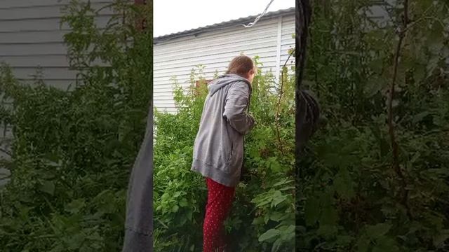 мммм как вкусно 😋 смотреть онлайн