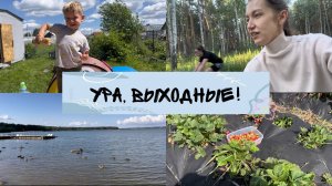 Наши выходные / На работе