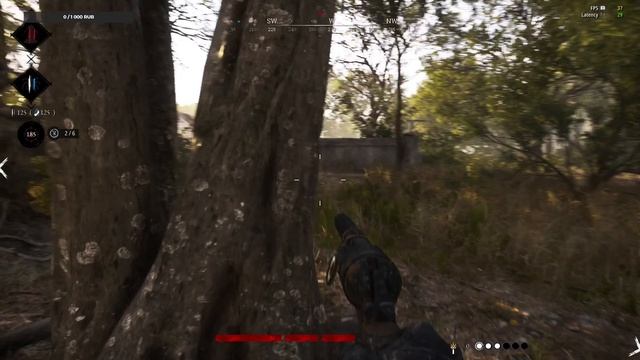 Hunt: Showdown Душный бой