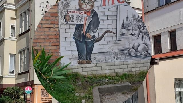 Зеленоградск. Город котов.