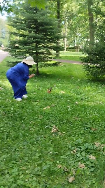 Я и белка смотреть онлайн