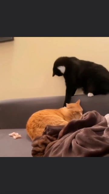 Когда не решил, что будешь делать смотреть онлайн