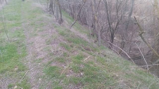 Пёс 5 сезон video «jimmvista»✏️👍👀 👂