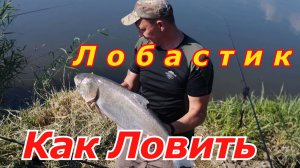 Правильный дальний заброс убийцы толстолобика  Груз не долетает на дистанцию .убийца толстолоба