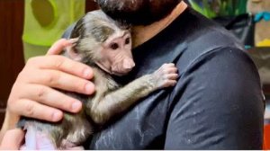 Я просто НЕ УЗНАЮ Анфису, какая она ЛАСКОВАЯ И МИЛАЯ рядом с Денисом!