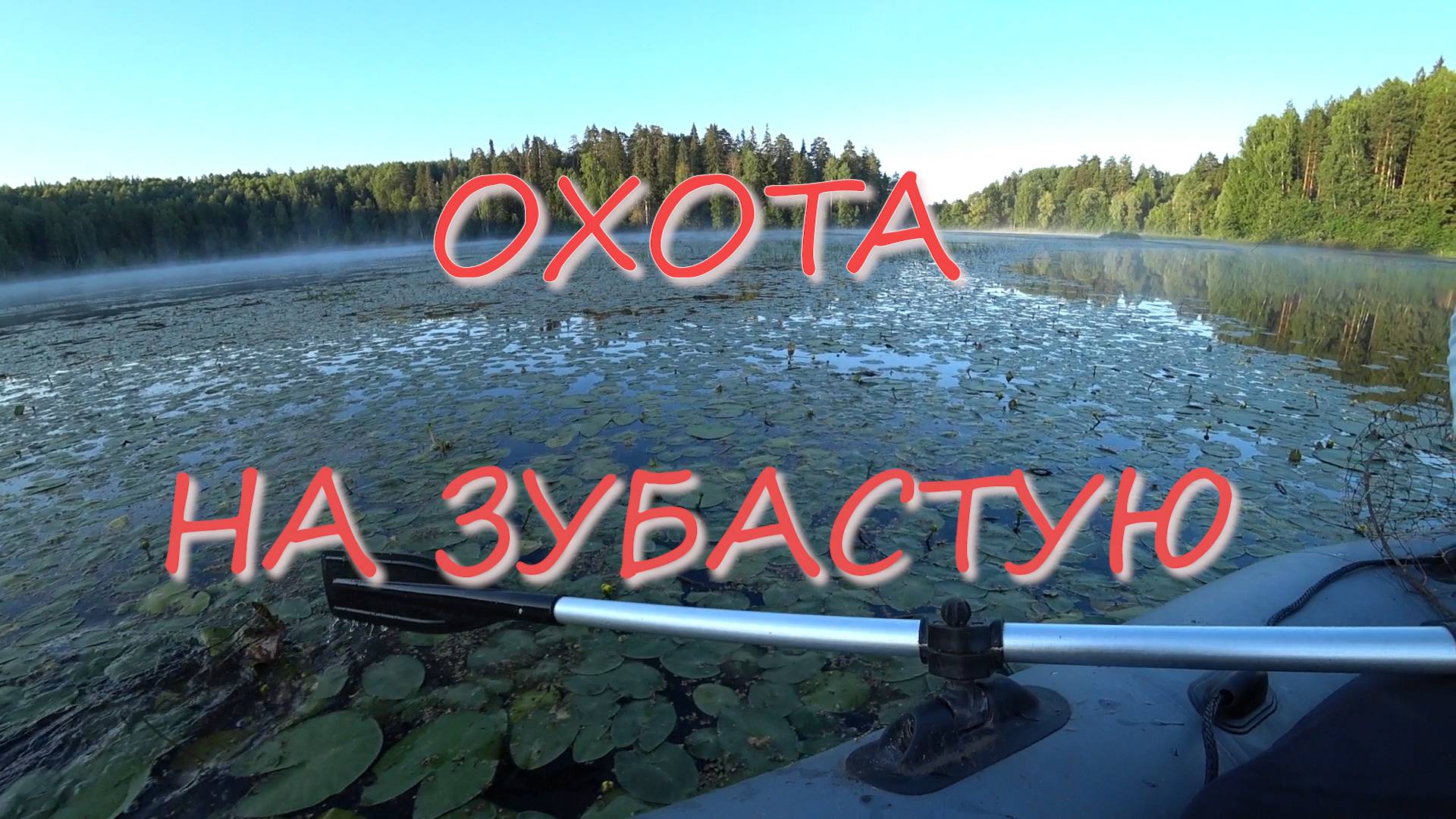 ЛОВЛЯ ЩУКИ! МЫШ ЕЕ НАШЕЛ И ВЫМАНИЛ, А ЭТОЙ ПРИМАНКОЙ ДОБИЛ смотреть онлайн