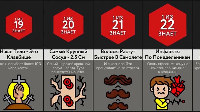 Спорим, Ты Не Знал Этого О Себе смотреть онлайн