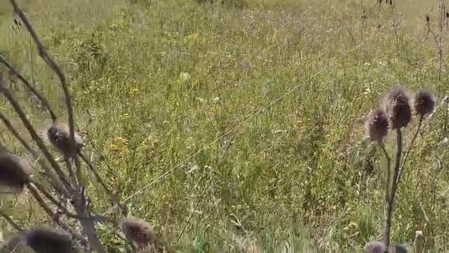 продам участок 7 соток, Демино , Ставрополь смотреть онлайн