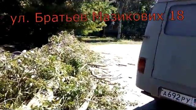 В Горловке дерево чуть не забрала жизнь. смотреть онлайн