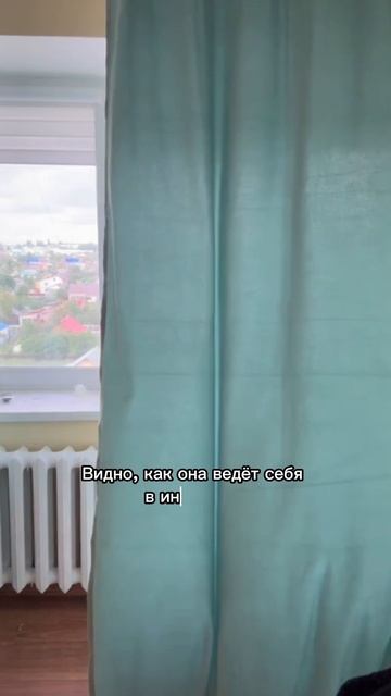 Шторы Canvas — энергия уюта и защита пространства Это больше, чем про обычное