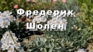 Фредерик Шопен. Ноктюрн № 20. Музыка для души