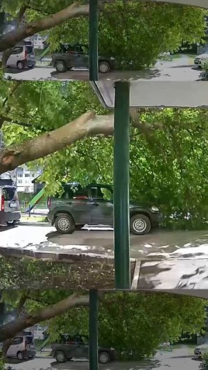 Не повезло с деревом.