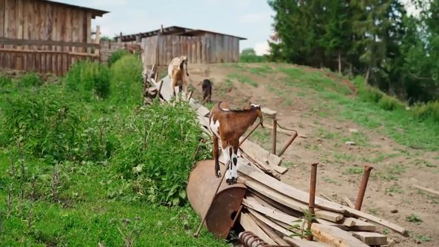 СКОРО В ДЕРЕВНЕ БУДЕТ ВОДА | ПОСТАВИЛИ ПЕРВЫЙ КОЛОДЕЦ | СТАРЫЕ ПОСТРОЙКИ ПОД ЗЕМЛЁЙ | ОКРОШКА смотреть онлайн