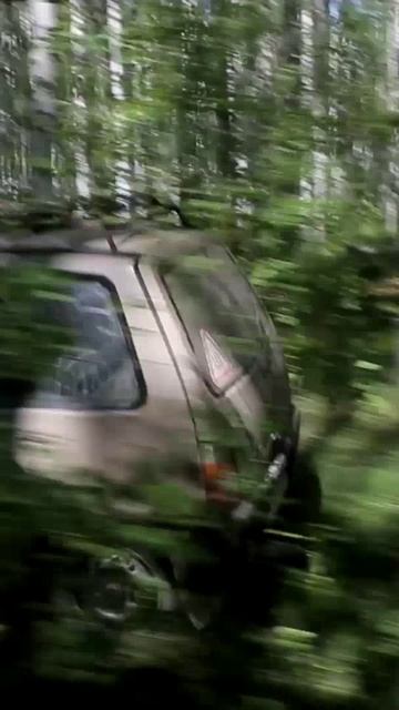 Ока - лучший автомобиль для поездки в лес за грибами!
