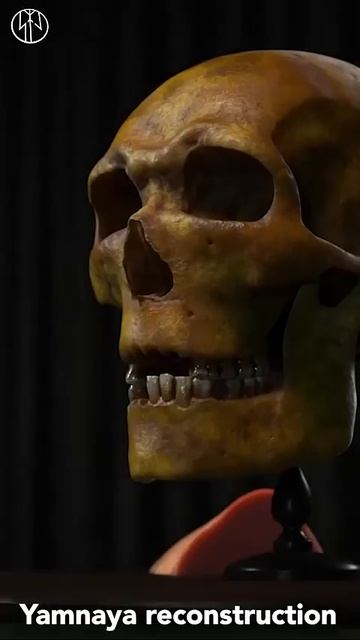 Реконструкция лица представителя Ямной Культуры, Праиндоевропейца