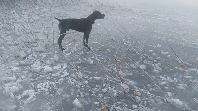 Пёс 1 сезон 2 серия зима мп