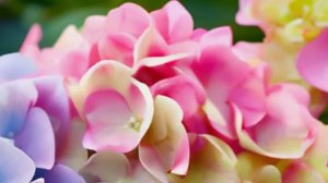 Измена Жены. Отработка. Рассказы для взрослых. Роман. Аудиокнига. История.