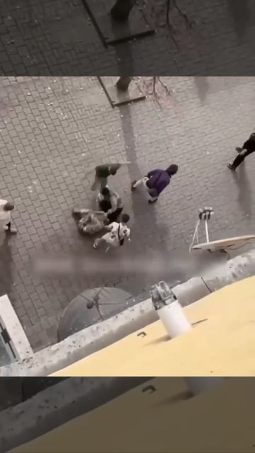 ⚡️Правильная работа местных граждан с гиеной из ТЦК в Одессе. смотреть онлайн