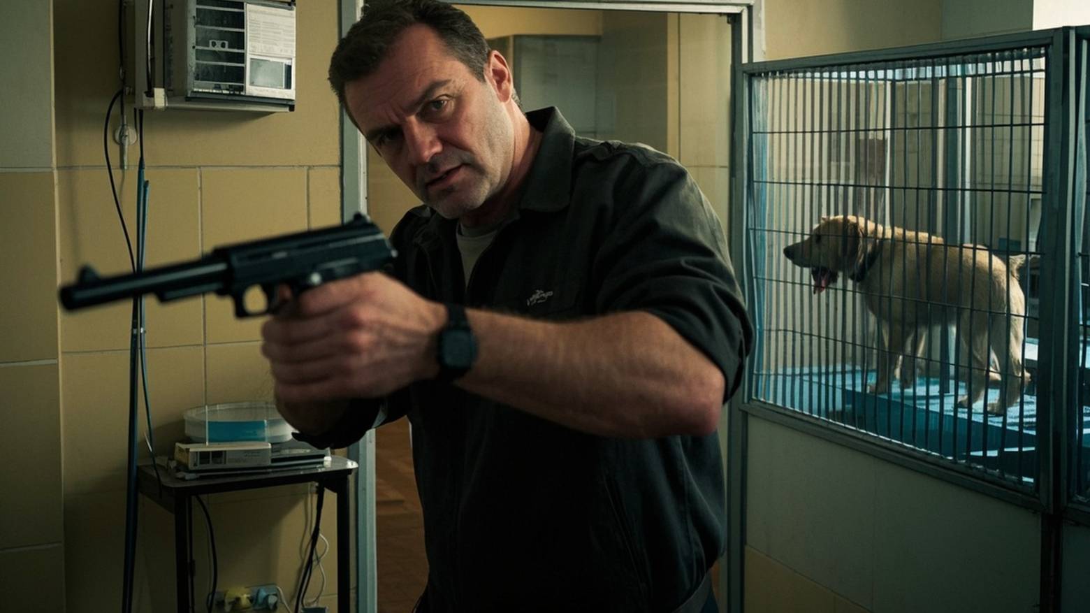 Челябинец с пистолетом требовал вернуть собаку из ветеринарной клиники смотреть онлайн