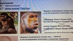 30-1+++  Три фактора становления человека  Устойчивость генома  Моноскрещивания внутри т аксоан  Кор