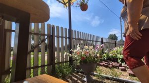 Сегодня копанули картошку/Занимаюсь обработкой малины, обрезаю викторию/